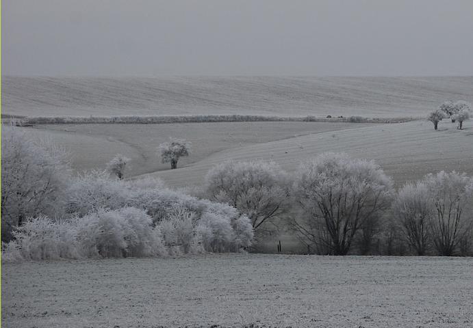 hiver2017janvier