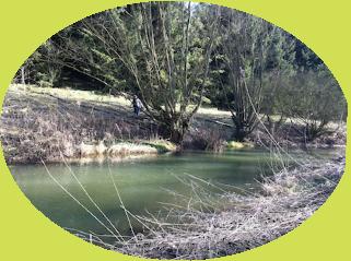 vignette rivire oct 2010-05